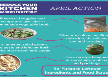 ingredients into recipes