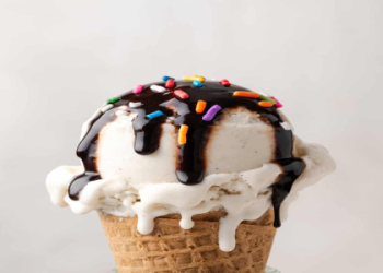 Meticulous Vanilla Ice Cream