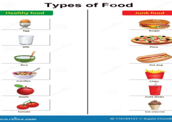 types of foods