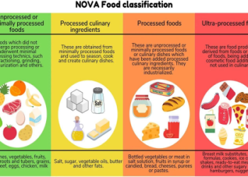 various types of food