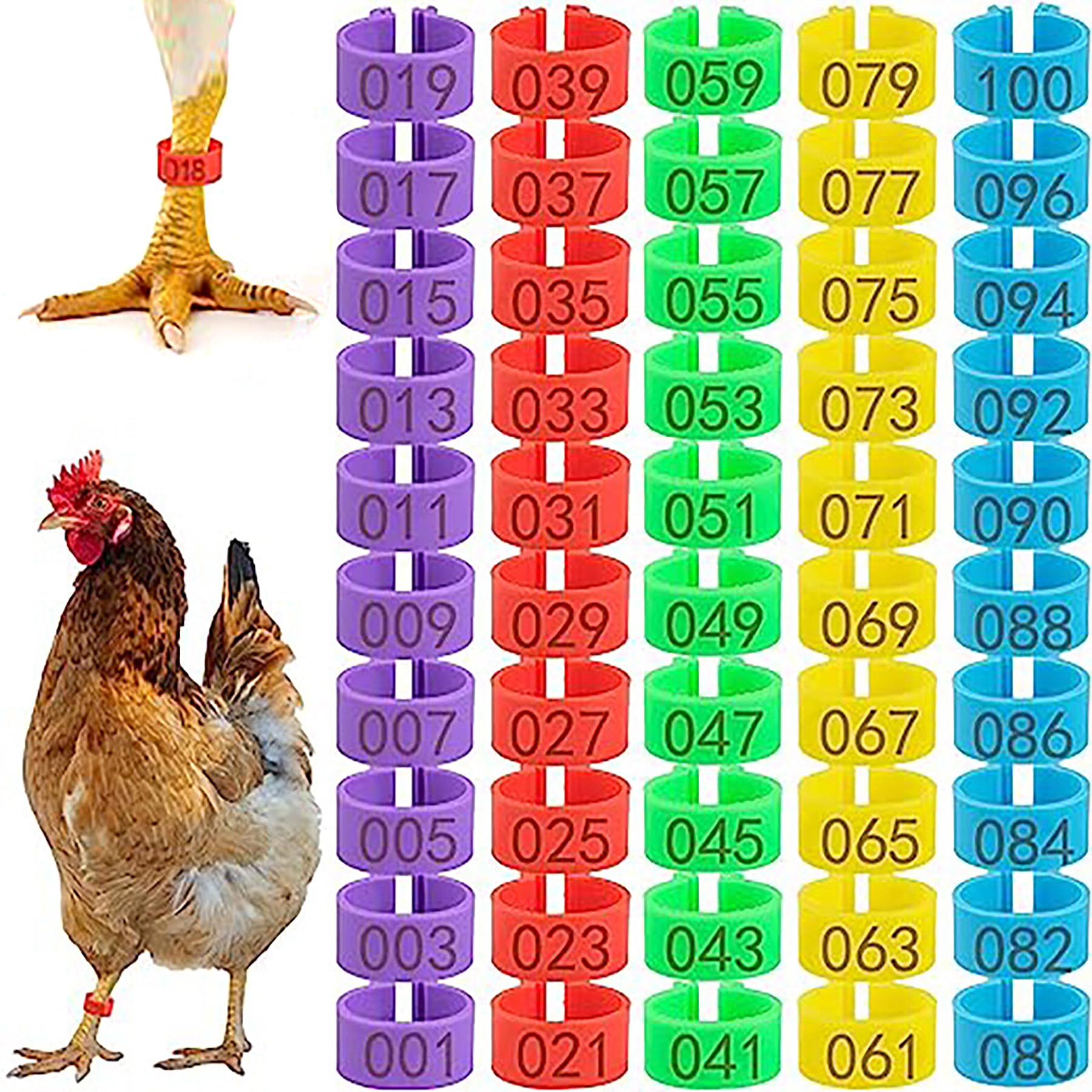 chicken name tags