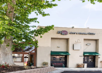 masala pizza san jose photos