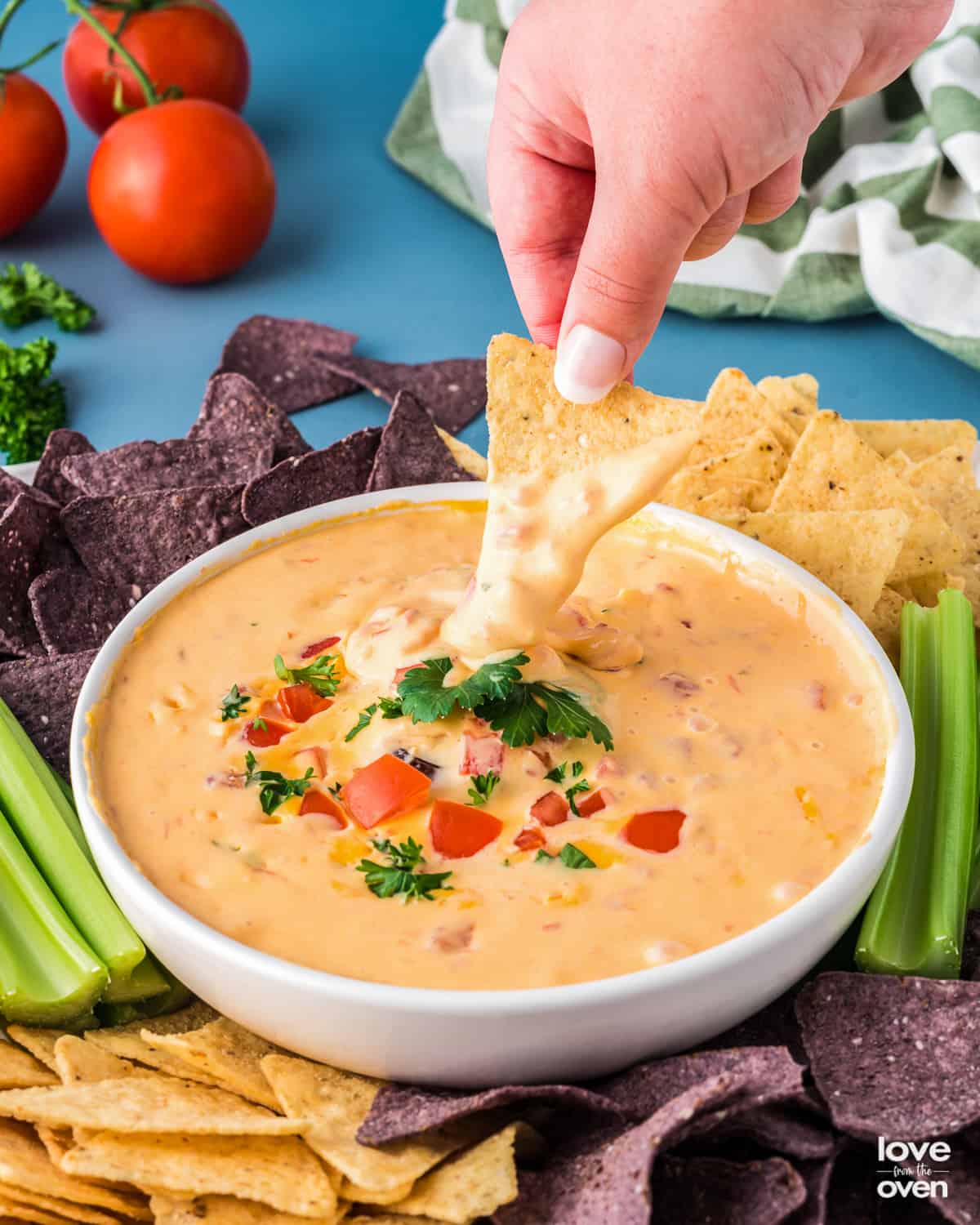velveeta rotel dip recipe