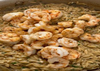 shrimp with orzo recipe